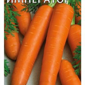 Морковь Император 1,0 г Н13