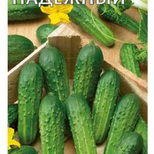 Огурец Надежный 0,5 г Н12