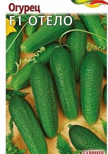 Огурец Отело F1 10 шт. Н12