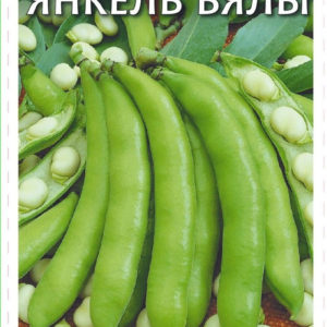 Бобы Янкель Бялы 10 шт