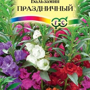 Бальзамин Праздничная смесь* 0,1 г