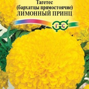Бархатцы пр. Лимонный принц (Тагетес) 0,1 г