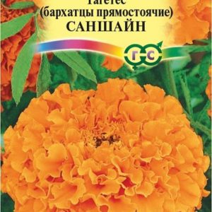 Бархатцы пр. Саншайн (30 см) (Тагетес) 0,1г