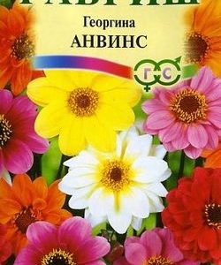 Георгина Анвинс, смесь 0,3г Н9