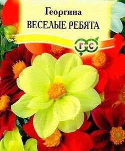 Георгина Веселые ребята 0,3г