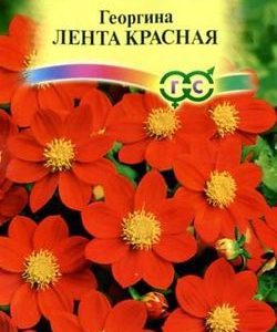 Георгина Лента красная 0,2 г Н9