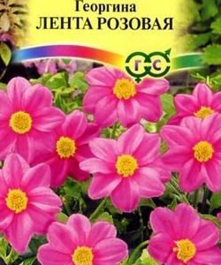 Георгина Лента розовая 0,2 г Н9