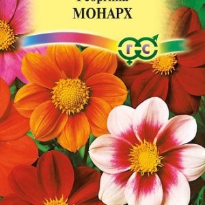 Георгина МОНАРХ, смесь