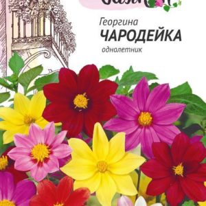 Георгина Чародейка, смесь 0,3 г сер. Чудесный балкон Н10