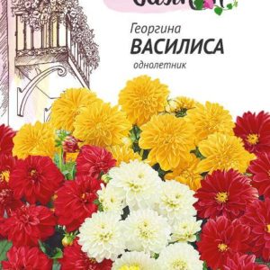 Георгина Василиса 0,3 г серия Чудесный балкон Н10