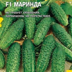 Огурец Маринда F1 10 шт.корнишон Н12