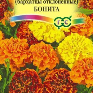 Бархатцы откл. Бонита (Тагетес) 0,3 г Н12