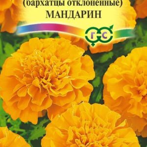 Бархатцы откл. Мандарин (Тагетес) 0,3 г Н12