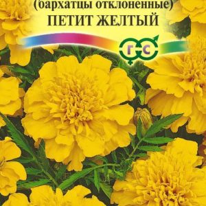 Бархатцы откл. Петит желтый (Тагетес) 0,3 г Н12