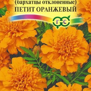 Бархатцы откл. Петит оранжевый (Тагетес) 0,3 г Н12