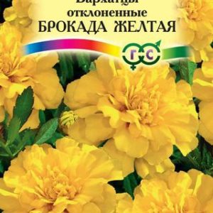 Бархатцы откл. Брокада желтая (Тагетес) 0,3 г Н12