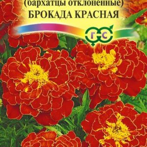Бархатцы откл. Брокада красная (Тагетес) 0,3 г Н12