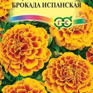 Бархатцы откл. Брокада испанская (Тагетес) 0,3 г Н12