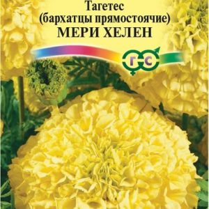 Бархатцы пр. Мери Хелен (Тагетес) 0,3 г Н12