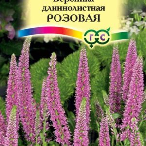Вероника длиннолистная Розовая* 0,05 г Н12