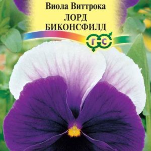 Виола Лорд Биконсфилд, Виттрока (Анютины глазки)* 0,1 г Н12