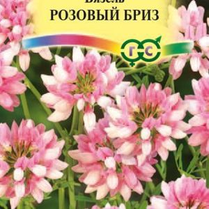 Вязель разноцветный Розовый бриз 0,2 г Н12