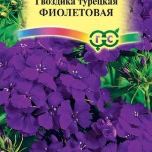 Гвоздика турецкая Фиолетовая 0,2 г Н12
