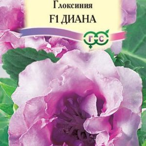 Глоксиния Диана гранул. 5 шт. Н12