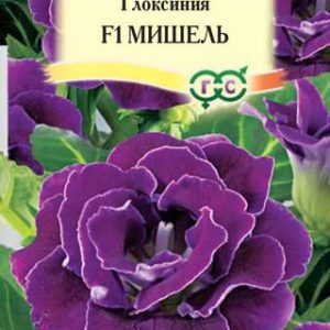 Глоксиния Мишель гранул. 5 шт. Н12