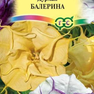 Дурман Балерина, смесь махровая 3 шт. Н12