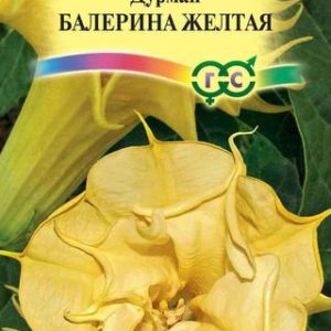 Дурман Балерина желтая махровая 3 шт. Н12