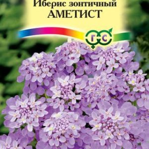 Иберис Аметист 0,2 г Н12