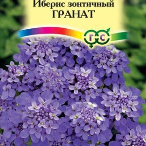 Иберис Гранат 0,2 г Н12