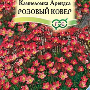 Камнеломка Арендса Розовый ковер* 0,01 г Н12