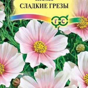 Космея Сладкие грезы 0,3 г Н12