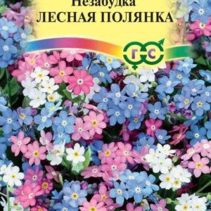 Незабудка Лесная полянка* 0,1 г Н12