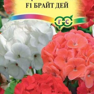 Пеларгония Брайт дей F1 зональная* 4 шт. Н12