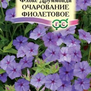 Флокс Очарование фиолетовое, друммонди* 0,05 г Н14