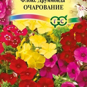 Флокс Очарование , друммонди смесь* 0,05 г Н12