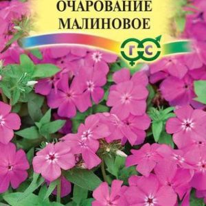 Флокс Очарование малиновое, друммонди* 0,05 г Н12
