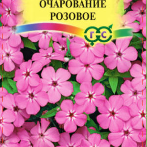 Флокс Очарование розовое, друммонда* 0,05 г Н15