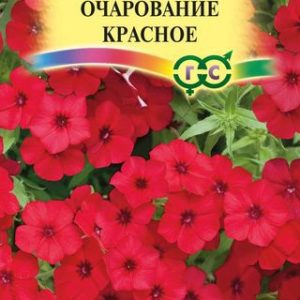 Флокс Очарование красное, друммонди* 0,05 г Н14