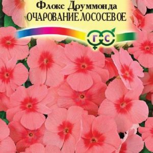 Флокс Очарование лососевое, друммонда* 0,05 г Н15