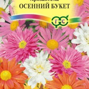 Хризантема индийская Осенний букет* 0,1 г Н12