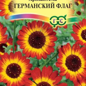 Хризантема Германский флаг 0,5 г H12