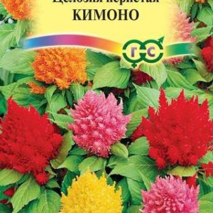 Целозия Кимоно перистая *, смесь 0,01г Н12