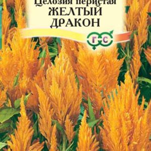 Целозия Желтый дракон перистая* 0,1г Н12