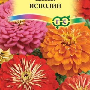 Цинния Исполин, смесь 0,3 г Н12