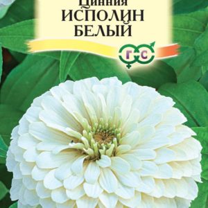 Цинния Исполин белый 0,3 г Н12