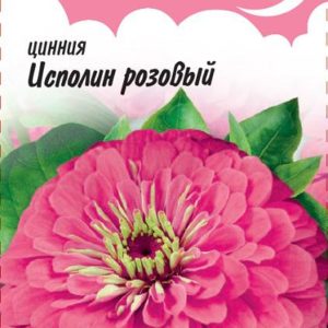 Цинния Исполин розовый 0,3 г Н12 серия Розовые сны